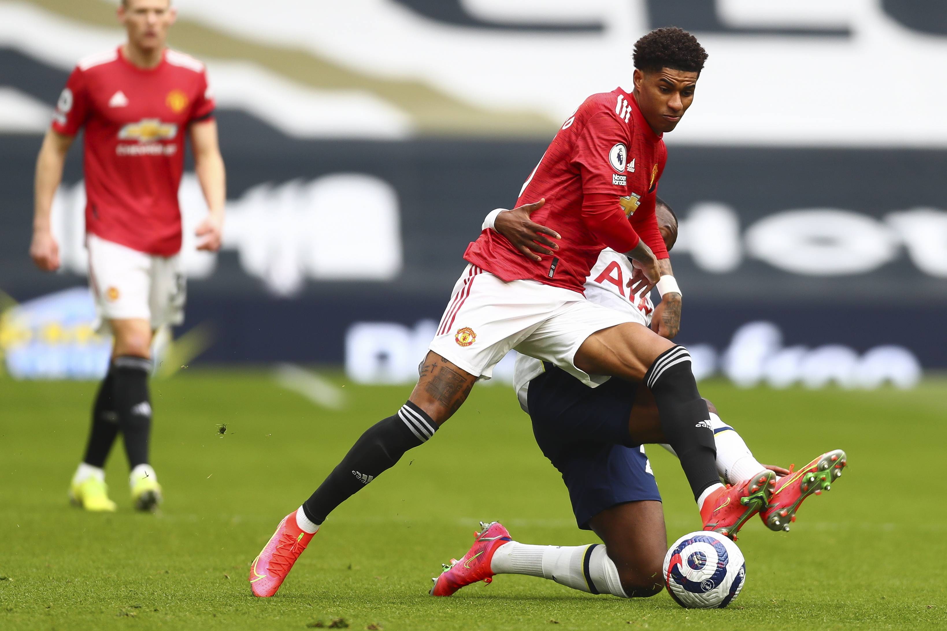 莎莎的例子 莎莎的例子